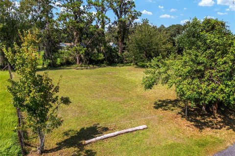 Terreno en venta en Dunnellon, Florida № 1316861 - foto 7