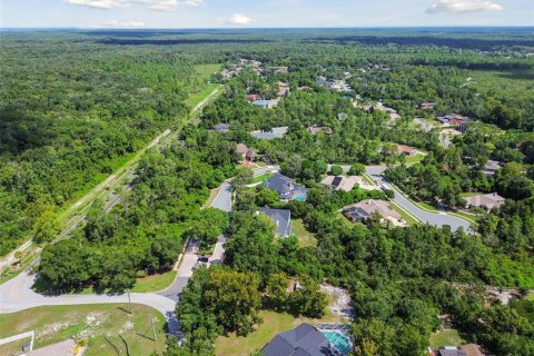 Land in Weeki Wachee, Florida № 1356172 - photo 8