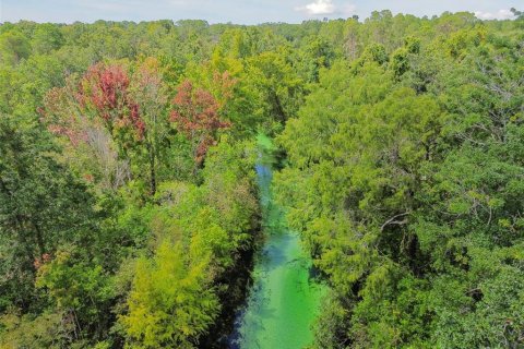 Terreno en venta en Weeki Wachee, Florida № 1356171 - foto 6