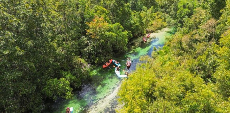 Terreno en Weeki Wachee, Florida № 1356171