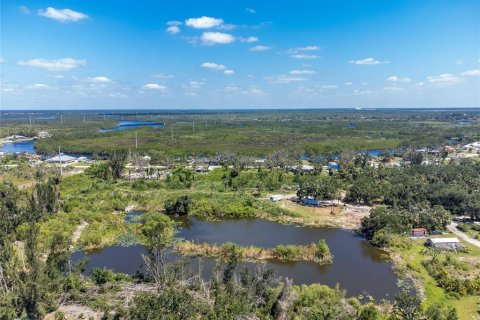 Land in Punta Gorda, Florida № 481188 - photo 11