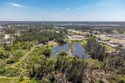 Terrain à vendre à Punta Gorda, Floride № 481188 - photo 12