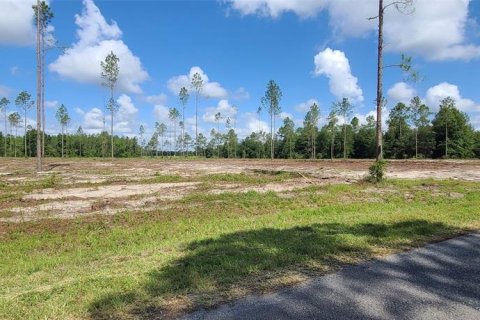 Terreno en venta en Live Oak, Florida № 1401862 - foto 4