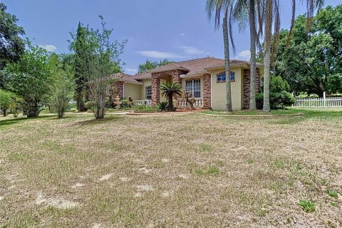 Villa ou maison à vendre à Dade City, Floride: 4 chambres, 234.3 m2 № 1356161 - photo 5