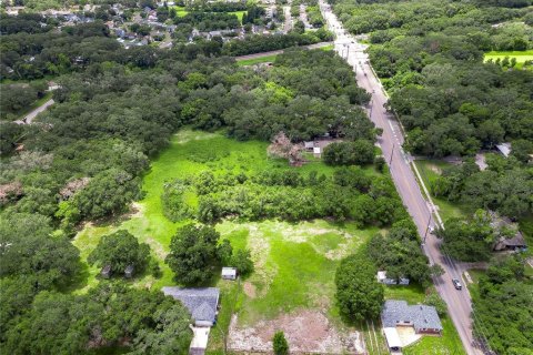 Land in Mango, Florida № 1340853 - photo 1