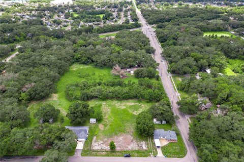 Land in Mango, Florida № 1340853 - photo 7