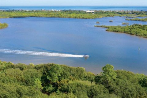 Terreno en venta en Flagler Beach, Florida № 1409502 - foto 6