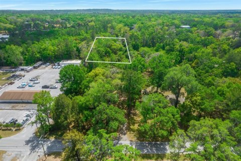 Terreno en venta en Brooksville, Florida № 1417484 - foto 1