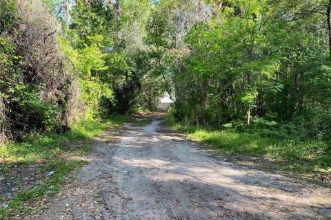 Terreno en venta en Brooksville, Florida № 1417484 - foto 11