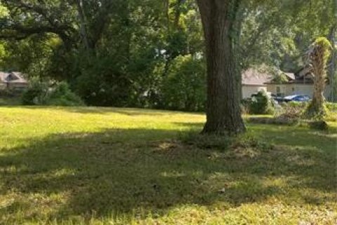 Terreno en venta en Orlando, Florida № 1427603 - foto 2