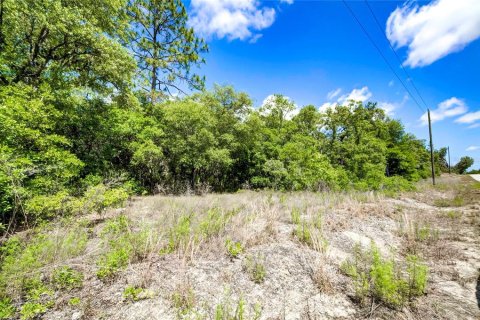 Terreno en venta en Dunnellon, Florida № 1243263 - foto 9