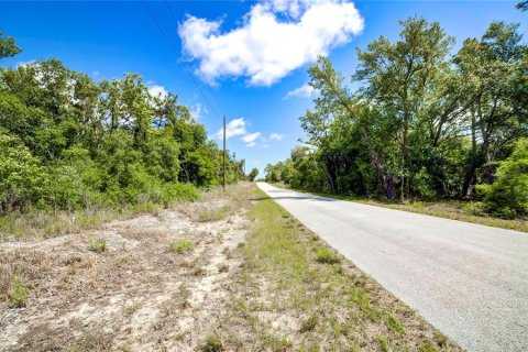 Terreno en venta en Dunnellon, Florida № 1243263 - foto 7