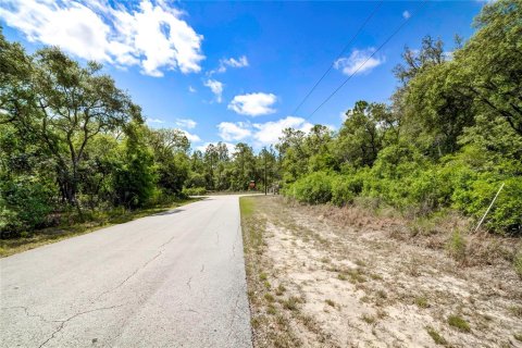 Land in Dunnellon, Florida № 1243263 - photo 8