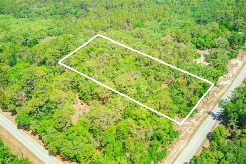 Terreno en venta en Dunnellon, Florida № 1243263 - foto 5