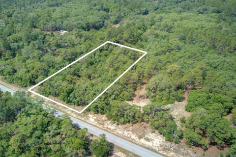 Terreno en venta en Dunnellon, Florida № 1243263 - foto 2