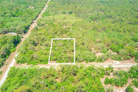 Terrain à vendre à Dunnellon, Floride № 1243263 - photo 6