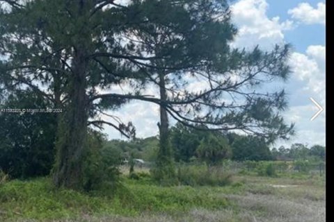 Terreno en venta en Clewiston, Florida № 976471 - foto 2