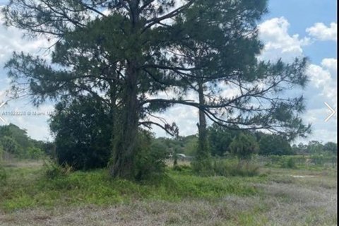 Land in Clewiston, Florida № 976471 - photo 12