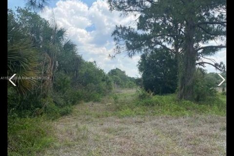 Terreno en venta en Clewiston, Florida № 976471 - foto 4