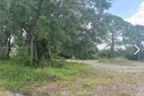Terreno en venta en Clewiston, Florida № 976471 - foto 1