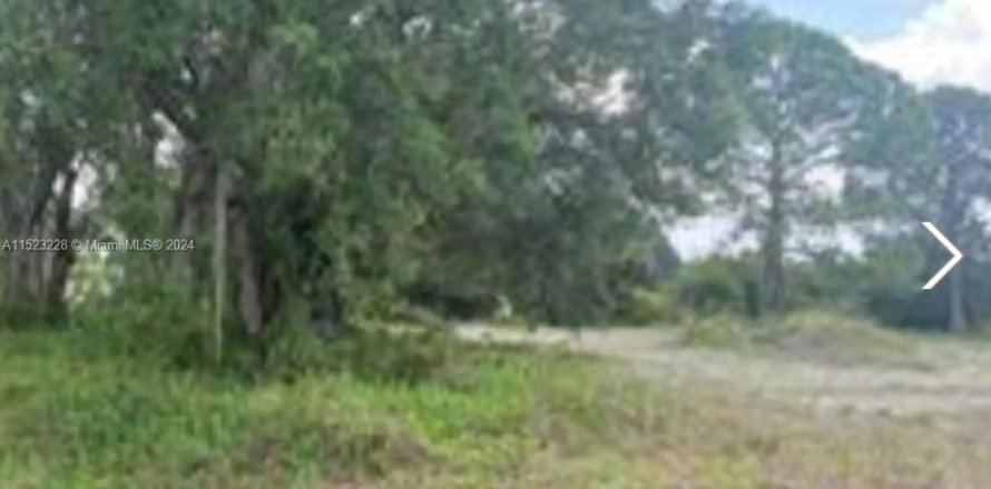 Land in Clewiston, Florida № 976471