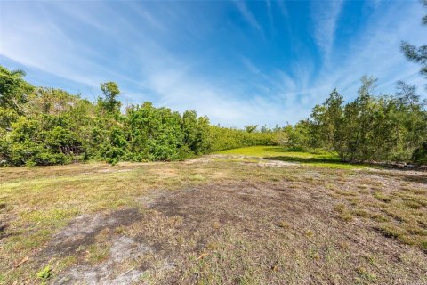 Terreno en venta en Punta Gorda, Florida № 1110732 - foto 15