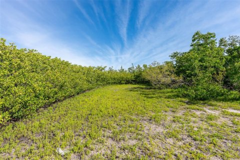 Terrain à vendre à Punta Gorda, Floride № 1110732 - photo 14