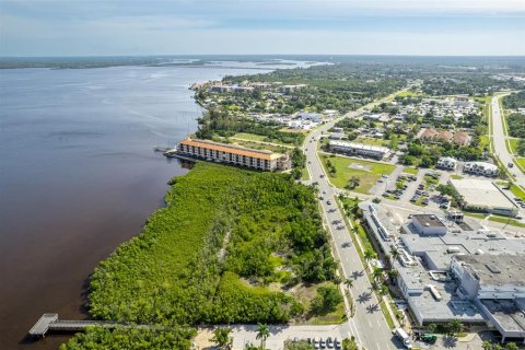 Terrain à vendre à Punta Gorda, Floride № 1110732 - photo 3