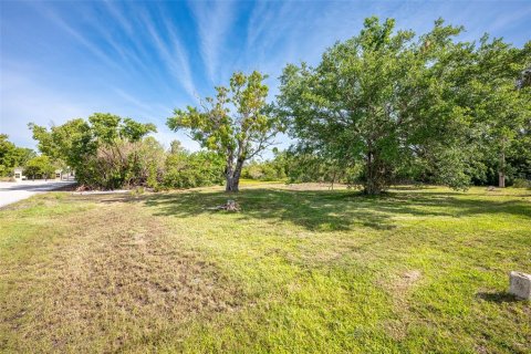 Land in Punta Gorda, Florida № 1110732 - photo 10