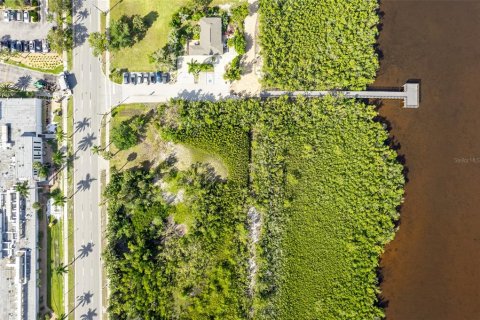 Terrain à vendre à Punta Gorda, Floride № 1110732 - photo 6