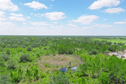 Land in Lake Wales, Florida № 1299040 - photo 15