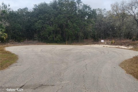 Terreno en venta en Ocala, Florida № 1121568 - foto 1