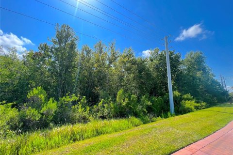 Land in Kissimmee, Florida № 503216 - photo 19