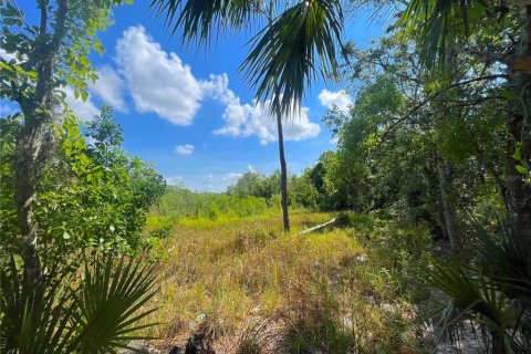 Land in Kissimmee, Florida № 503216 - photo 22