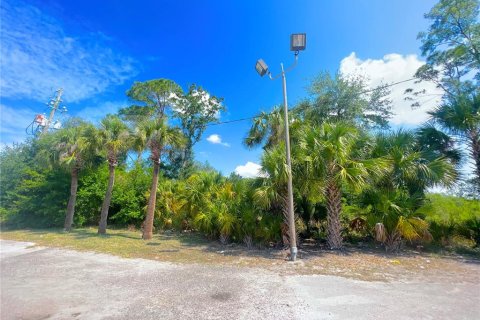 Terreno en venta en Kissimmee, Florida № 503216 - foto 6