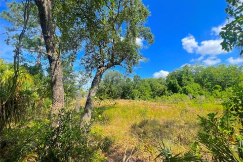 Land in Kissimmee, Florida № 503216 - photo 23