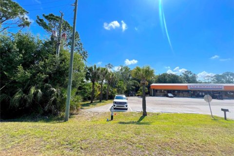 Land in Kissimmee, Florida № 503216 - photo 5