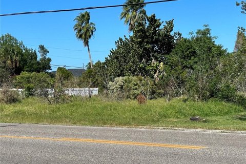 Terreno en venta en Punta Gorda, Florida № 959920 - foto 1