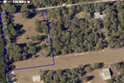 Land in O Brien, Florida № 1334983 - photo 2