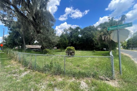 Land in DeLand, Florida № 1334926 - photo 2