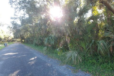 Купить земельный участок в Делтона, Флорида № 230729 - фото 7