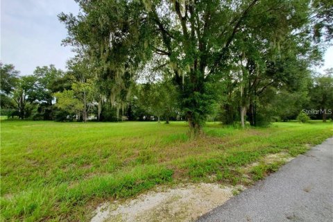 Terreno en venta en Dade City, Florida № 1344853 - foto 3