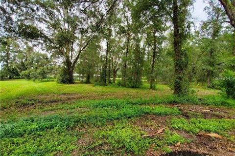 Terreno en venta en Dade City, Florida № 1344853 - foto 4