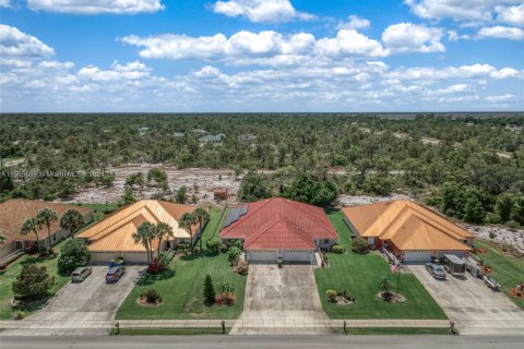 Villa ou maison à vendre à Lake Placid, Floride: 3 chambres, 188.68 m2 № 1188370 - photo 4