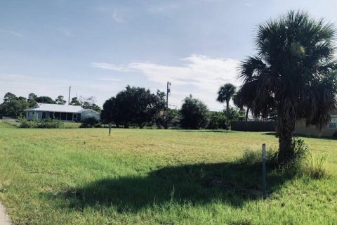 Купить земельный участок в Виро-Бич, Флорида № 693335 - фото 3