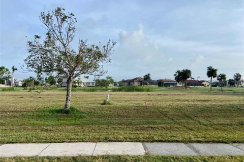 Terrain à vendre à Punta Gorda, Floride № 226960 - photo 9