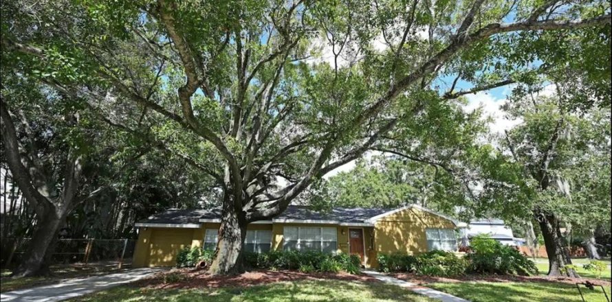 House in Tampa, Florida 4 bedrooms, 195.09 sq.m. № 1347244