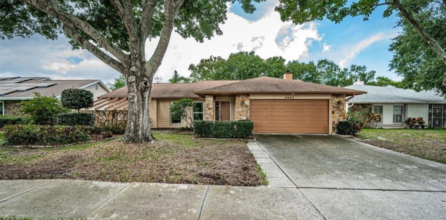 House in Tampa, Florida 3 bedrooms, 158.49 sq.m. № 1349920