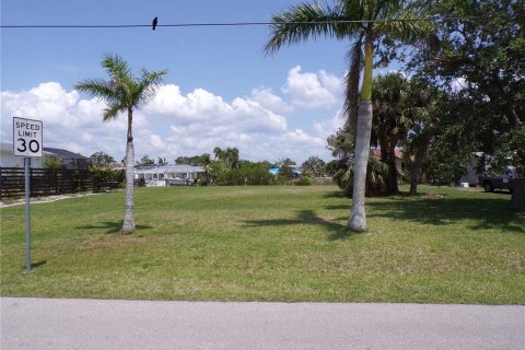 Land in Punta Gorda, Florida № 481455 - photo 1