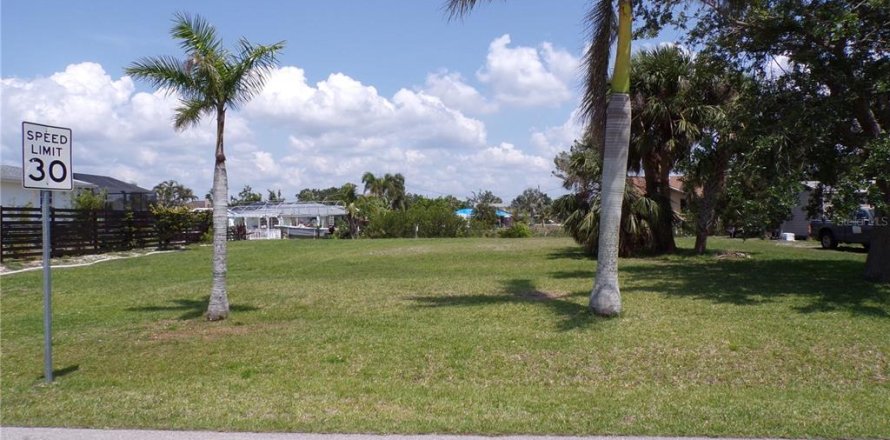 Land in Punta Gorda, Florida № 481455